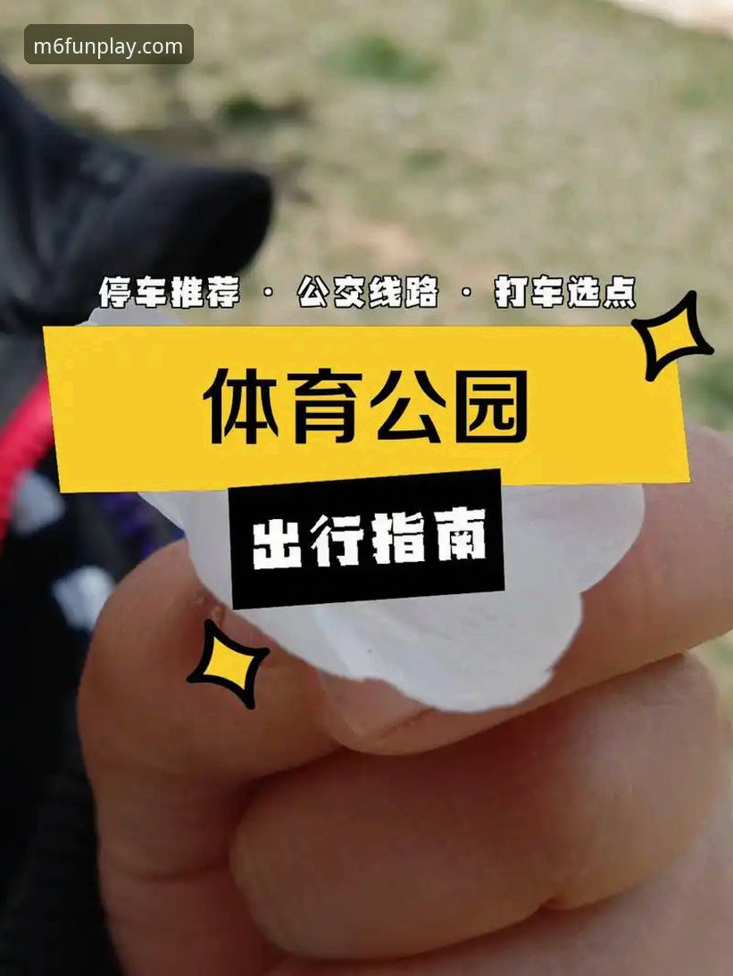 米乐体育使用教程详解：从下载到观赛的全流程指南